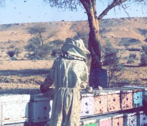 هموم النحال السعودي