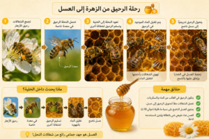 الرحيق