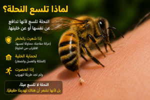 لماذا تلسع النحلة؟
