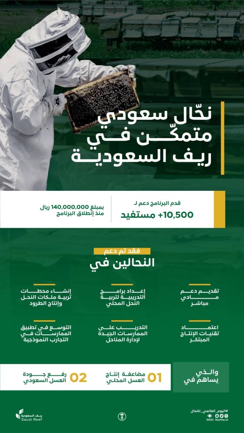 برنامج ريف في أرقام ودوره في دعم التنمية الريفية